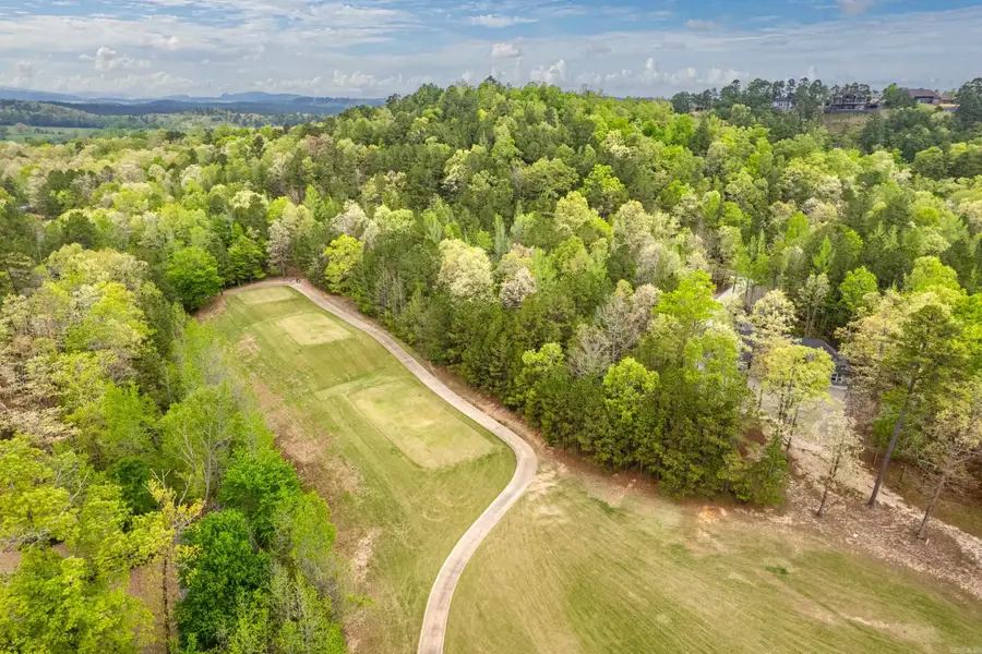 8 Largo Drive, Hot Springs Village, AR 71909 - Image #3