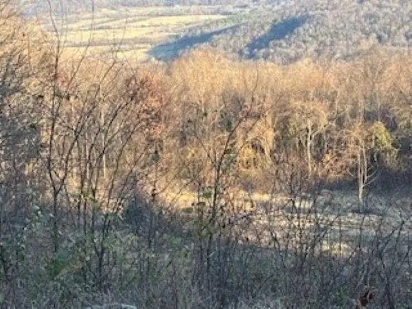 000 Cooper Point, Mountain View, AR 72560