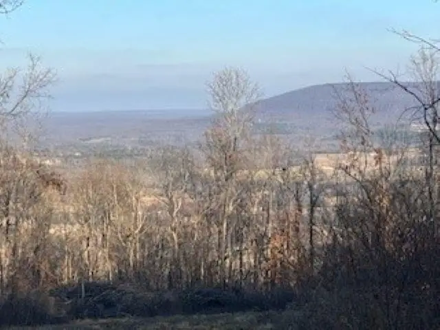 000 Cooper Point, Mountain View, AR 72560 - Image #2