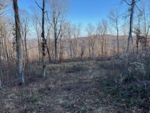 000 Cooper Point, Mountain View, AR 72560 - Image #3