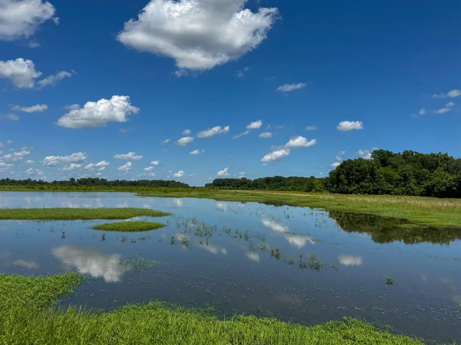 0 Lawrence Rd 348, Alicia, AR 72410 - Image #2