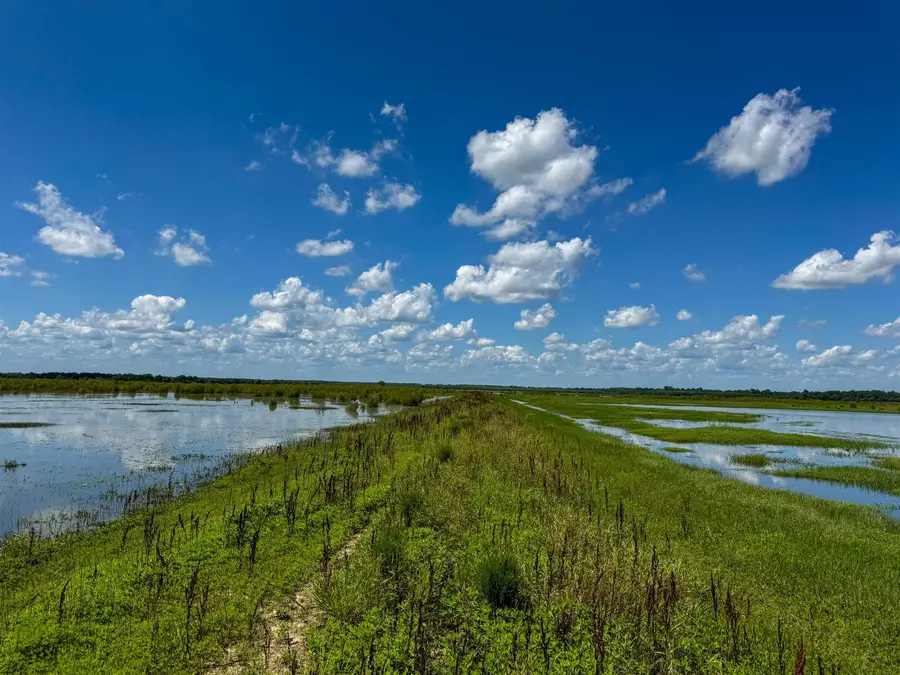 0 Lawrence Rd 348, Alicia, AR 72410 - Image #3