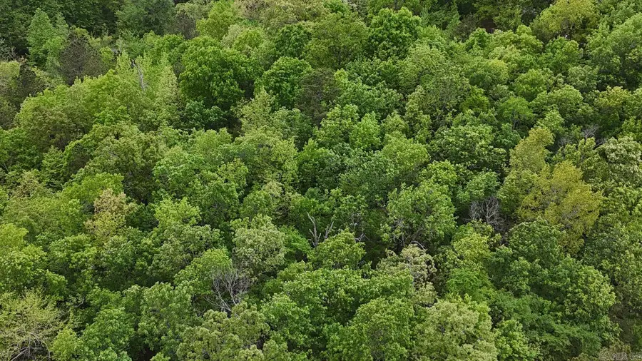 TBD Polk Road 117, Mena, AR 71953 - #2