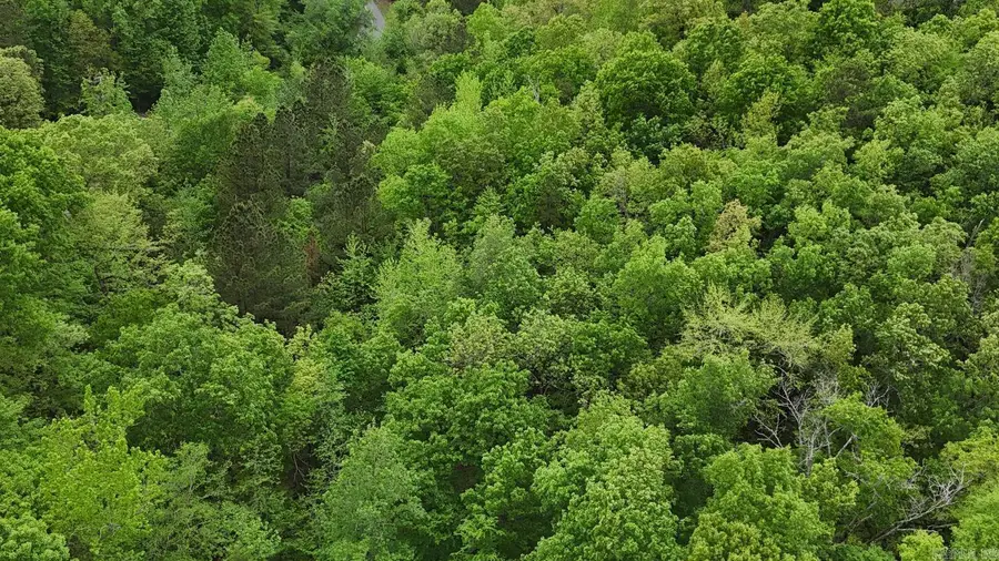 TBD Polk Road 117, Mena, AR 71953 - #3