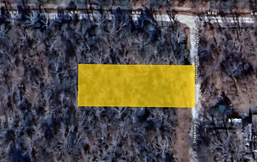 1617 Grapevine Lane, Horseshoe Bend, AR 72512 - Image #2
