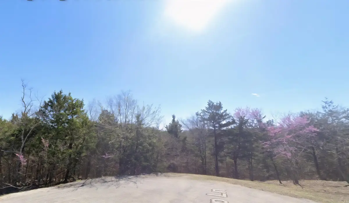 Lot 38 Suntop Lane, Holiday Island, AR 72631 - Image #1