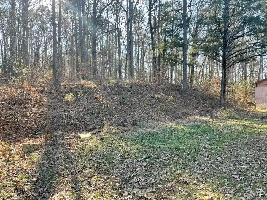 3500 Highway 8 East, Mena, AR 71953 - Image #3