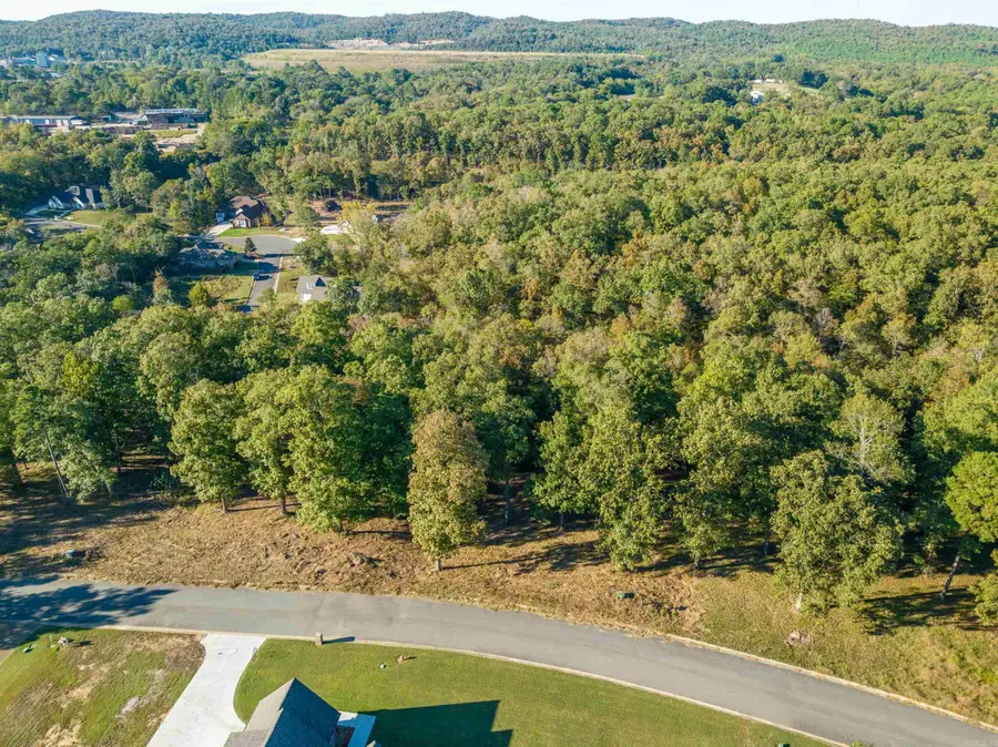 LOT 42 Windsong Bay Drive, Hot Springs, AR 71901 - Image #3