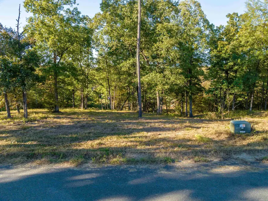 LOT 44 Windsong Bay Drive, Hot Springs, AR 71901 - Image #2