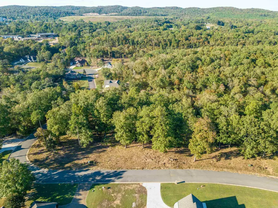 LOTS 45&46 Windsong Bay Drive, Hot Springs, AR 71901 - Image #2