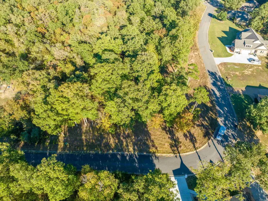 LOTS 45&46 Windsong Bay Drive, Hot Springs, AR 71901 - Image #3