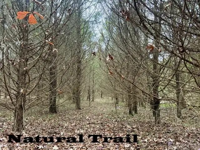 162 Janel Court, Romance, AR 72136 - Image #2