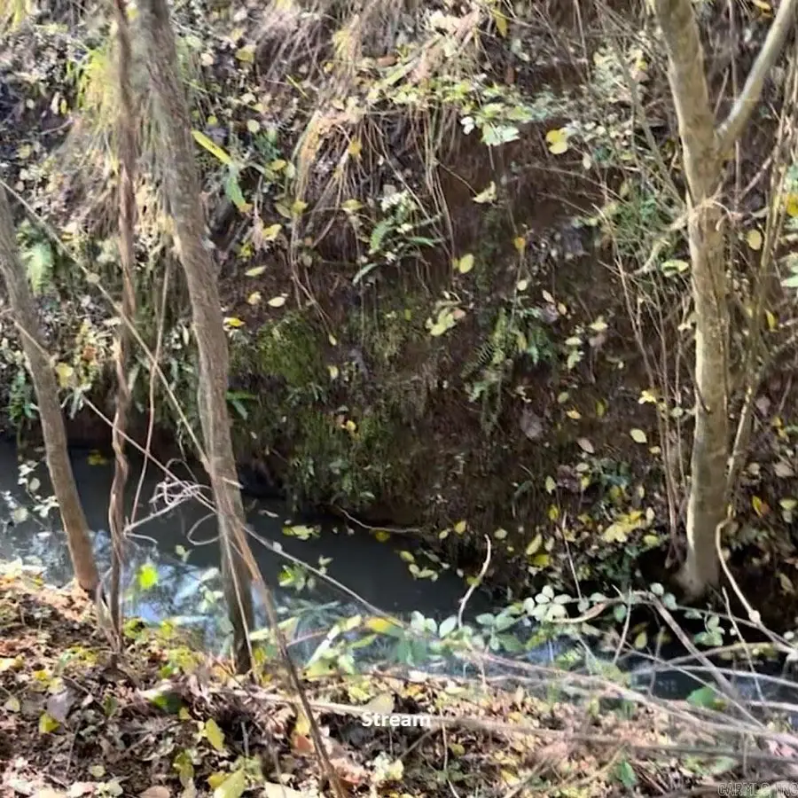 162 Janel Court, Romance, AR 72136 - Image #3