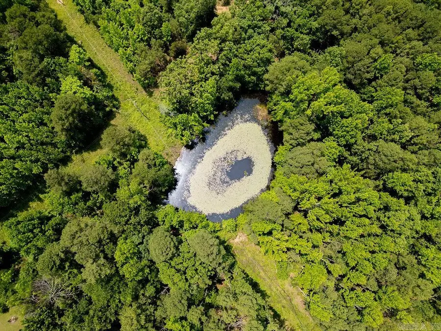 246 Kirkendoll Rd, Clinton, AR 72031 - Image #2