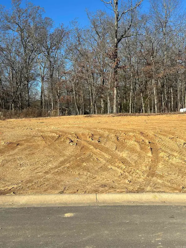 Lot 245 Bighorn Drive, Benton, AR 72019