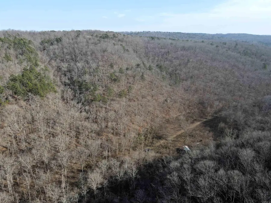 000 Carly Road, Clinton, AR 72031 - Image #3