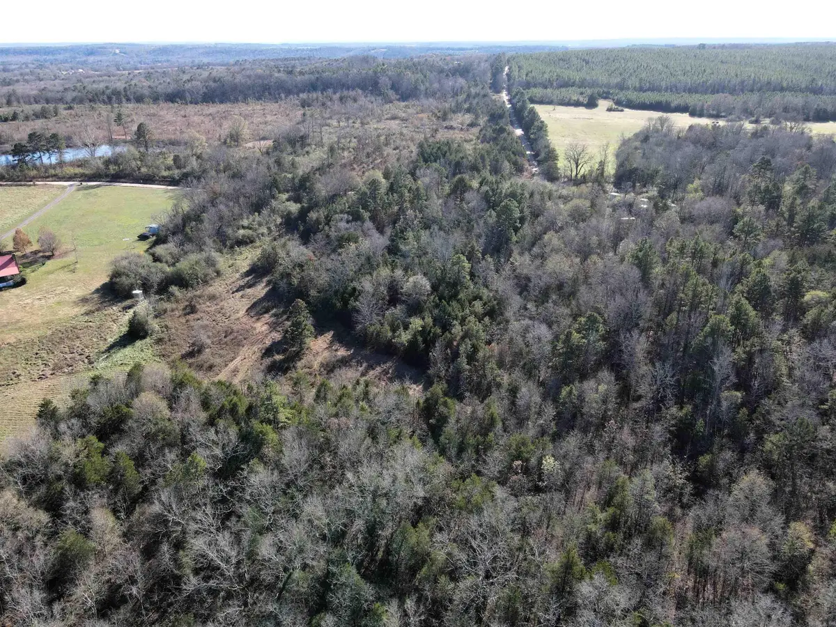 000 Copeland Cave Road, Cleveland, AR 72030 - Image #1