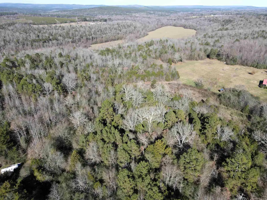 000 Copeland Cave Road, Cleveland, AR 72030 - Image #3