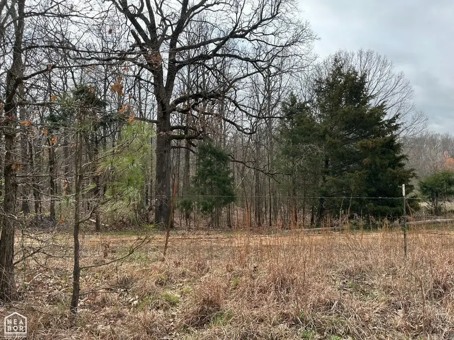 Lot 1 Raby Road, Harrisburg, AR 72432 - Image #2