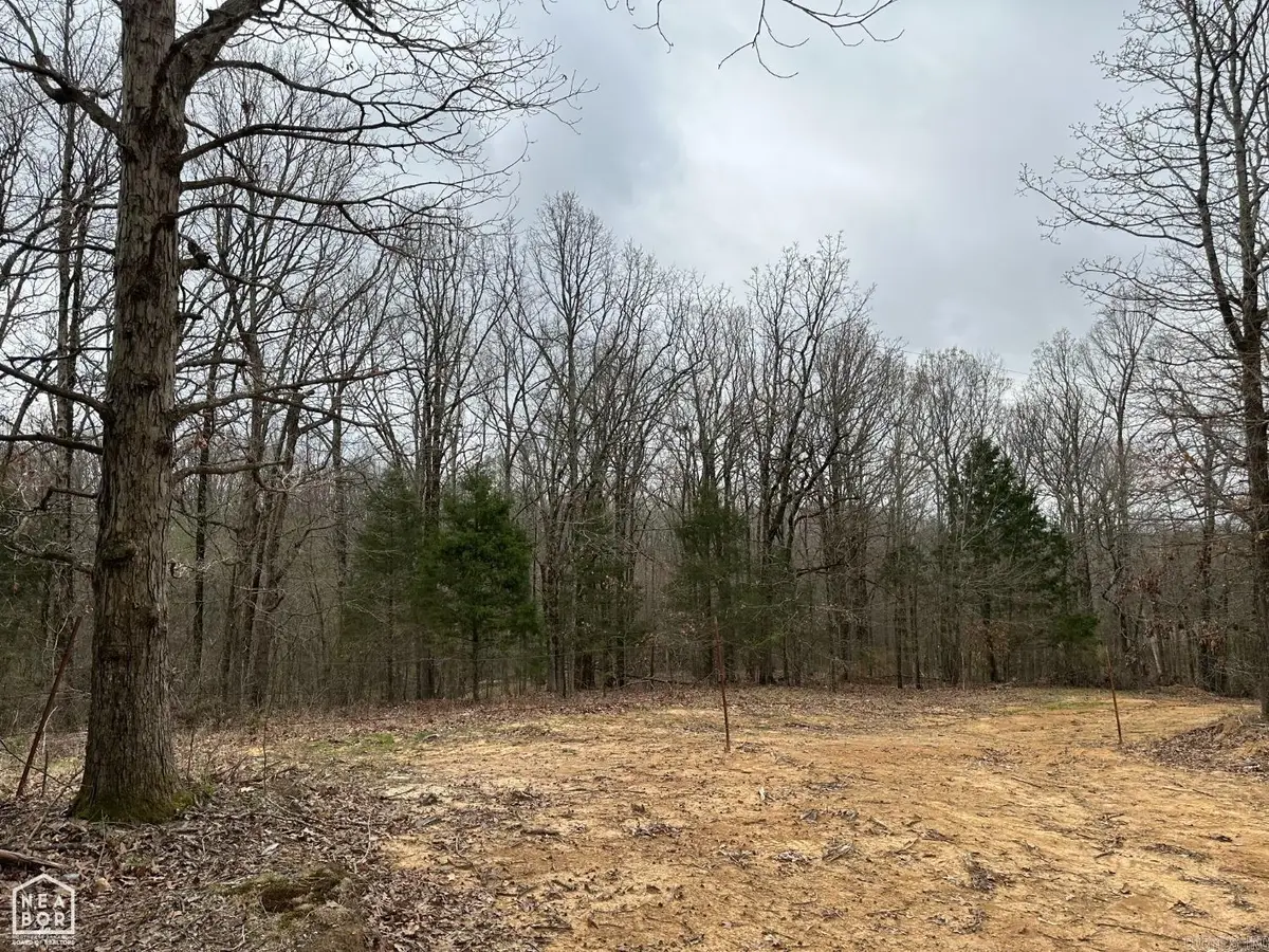 Lot 3 Raby Road, Harrisburg, AR 72432 - #1
