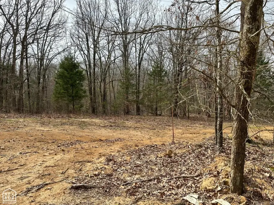Lot 3 Raby Road, Harrisburg, AR 72432 - #2