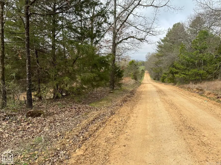 Lot 3 Raby Road, Harrisburg, AR 72432 - #3