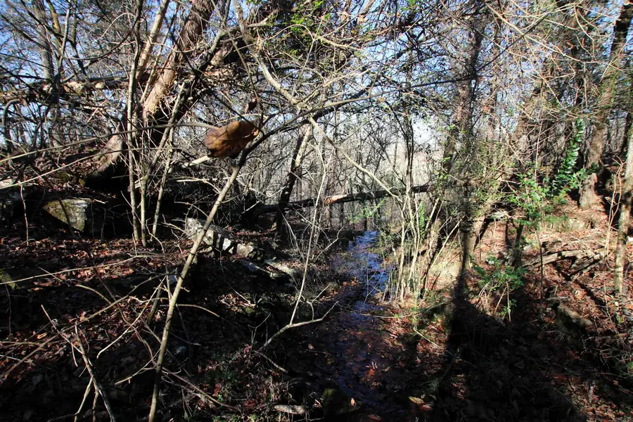 287 Copeland Cave Road, Cleveland, AR 72030 - Image #2