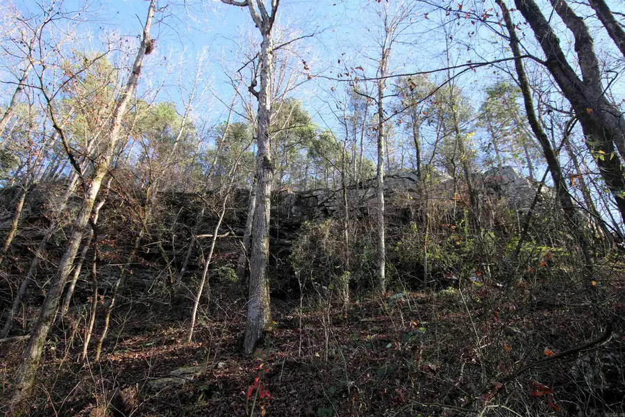 287 Copeland Cave Road, Cleveland, AR 72030 - Image #3