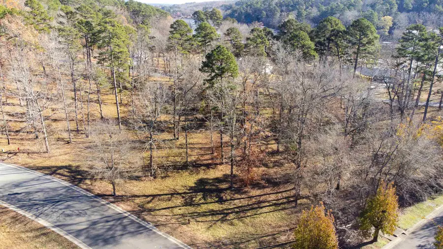 Address Withheld By Seller, Hot Springs, AR 71913 - Image #3