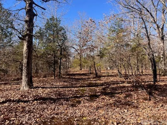 Monahan Road, Mountain View, AR 72560 - Image #2