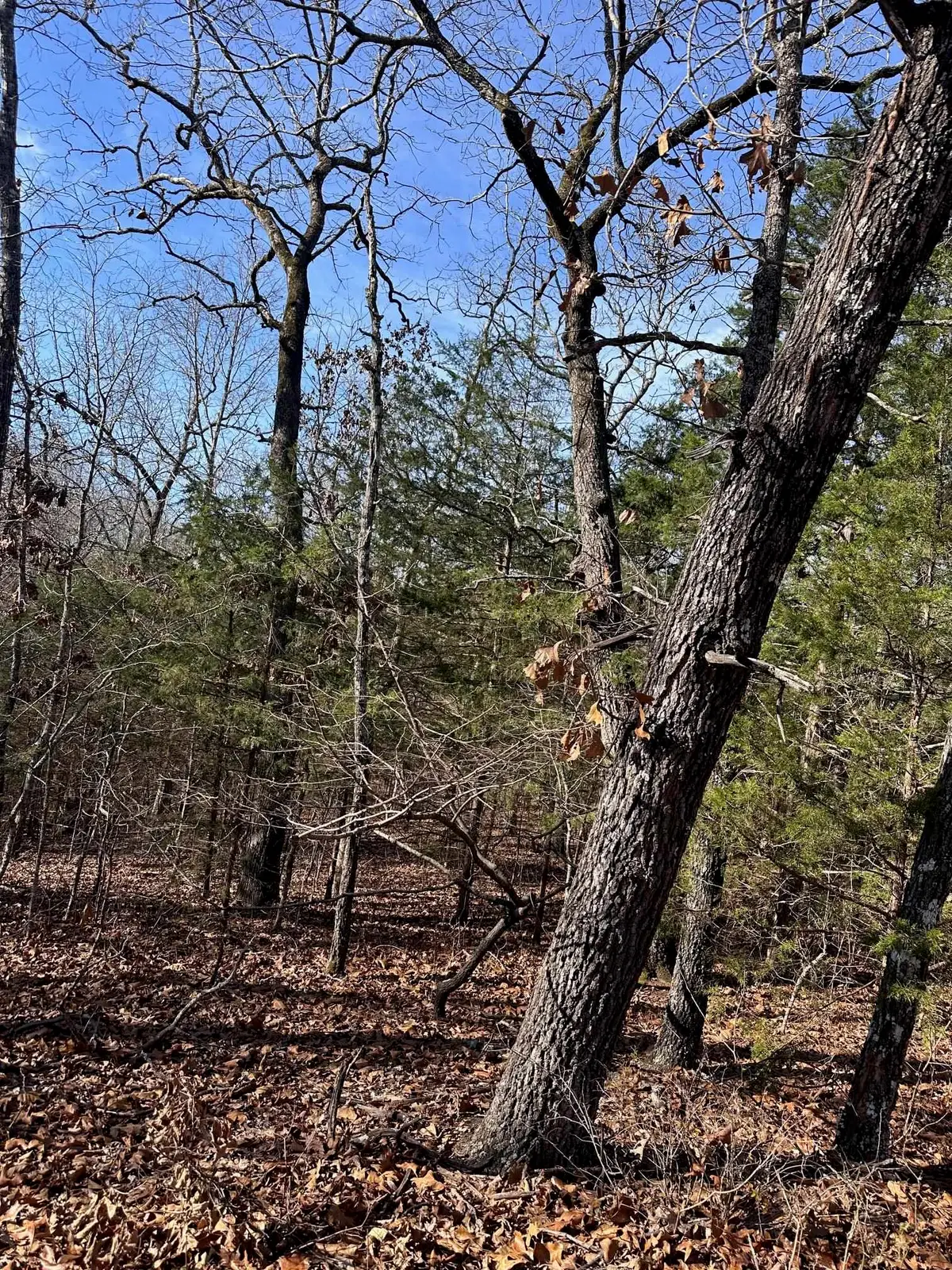 0 Chippewa Drive, Cherokee Village, AR 72529 - Image #1