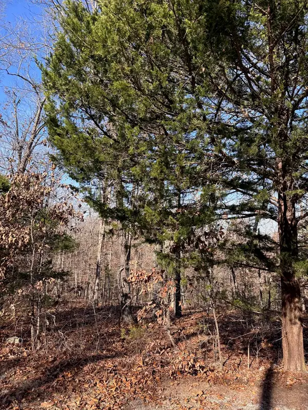 0 Loxahatchee Circle, Cherokee Village, AR 72529