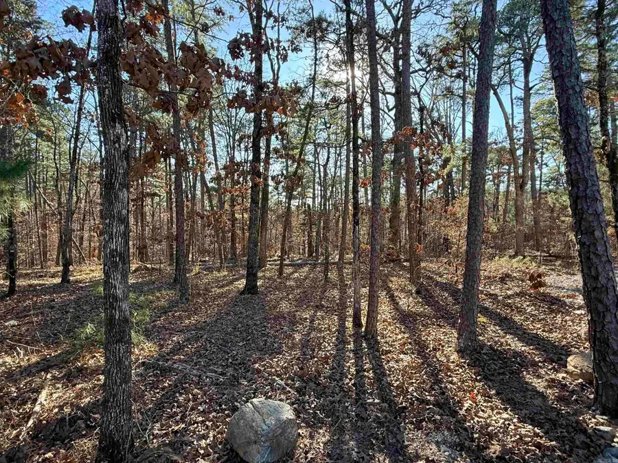 4 Tolosa Way, Hot Springs Village, AR 71909 - Image #3