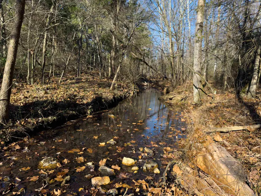 Pleasant Run Rd, Mammoth Spring, AR 72554 - Image #2