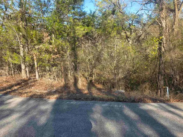 L-16, B-4 Indian Avenue, Cherokee Village, AR 72529