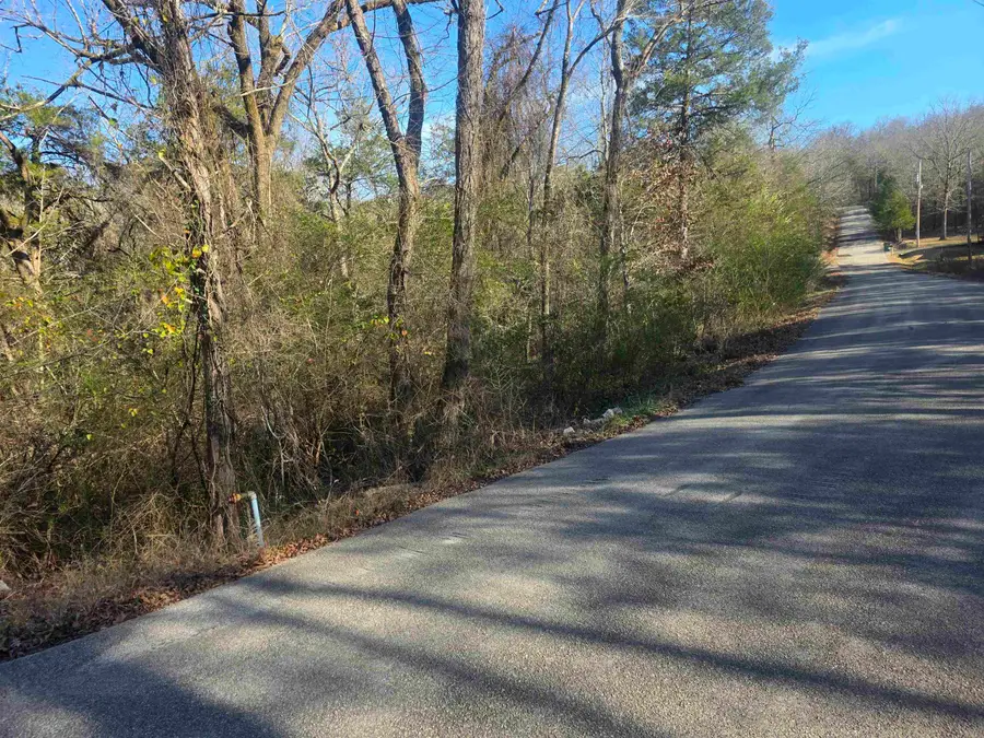 L-16, B-4 Indian Avenue, Cherokee Village, AR 72529 - Image #3