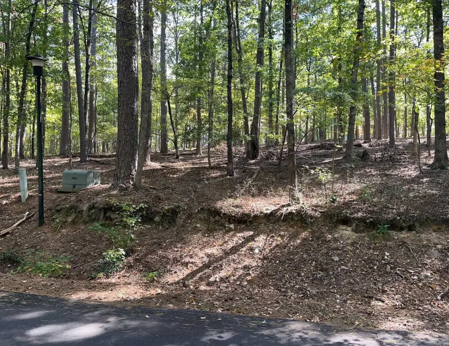 Address Withheld By Seller, Hot Springs Village, AR 71909 - Image #3