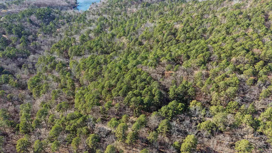 68 La Palabra Way, Hot Springs Village, AR 71909 - Image #3