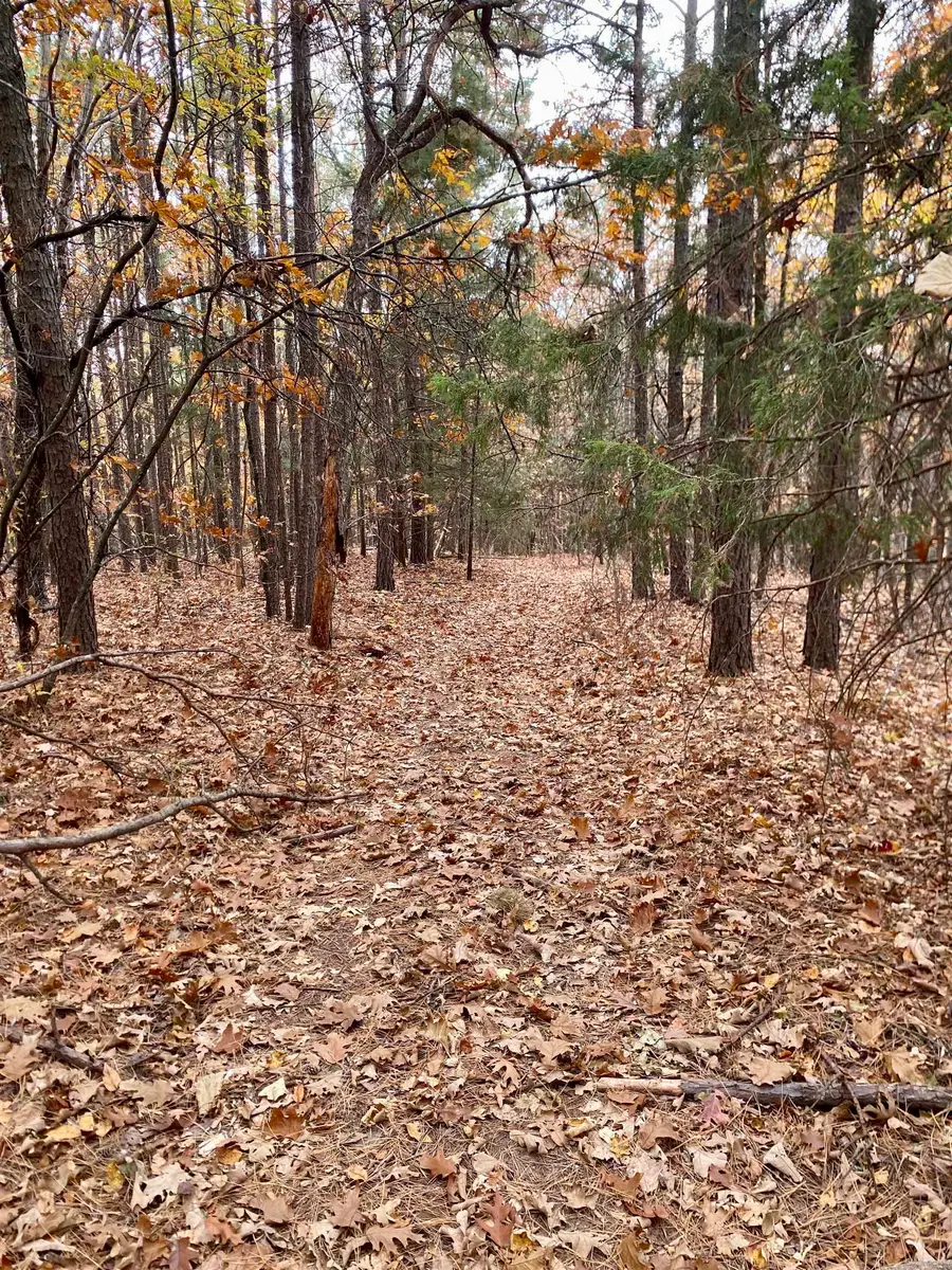 40 Acres +/- Off Cr 4540, Ozone, AR 72854 - Image #2