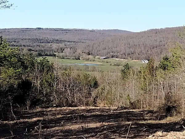 0000 Sunnyland Road, Mountain View, AR 72560