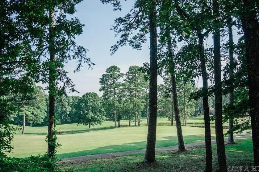 1 Ensenada Lane, Hot Springs Village, AR 71909 - Image #2