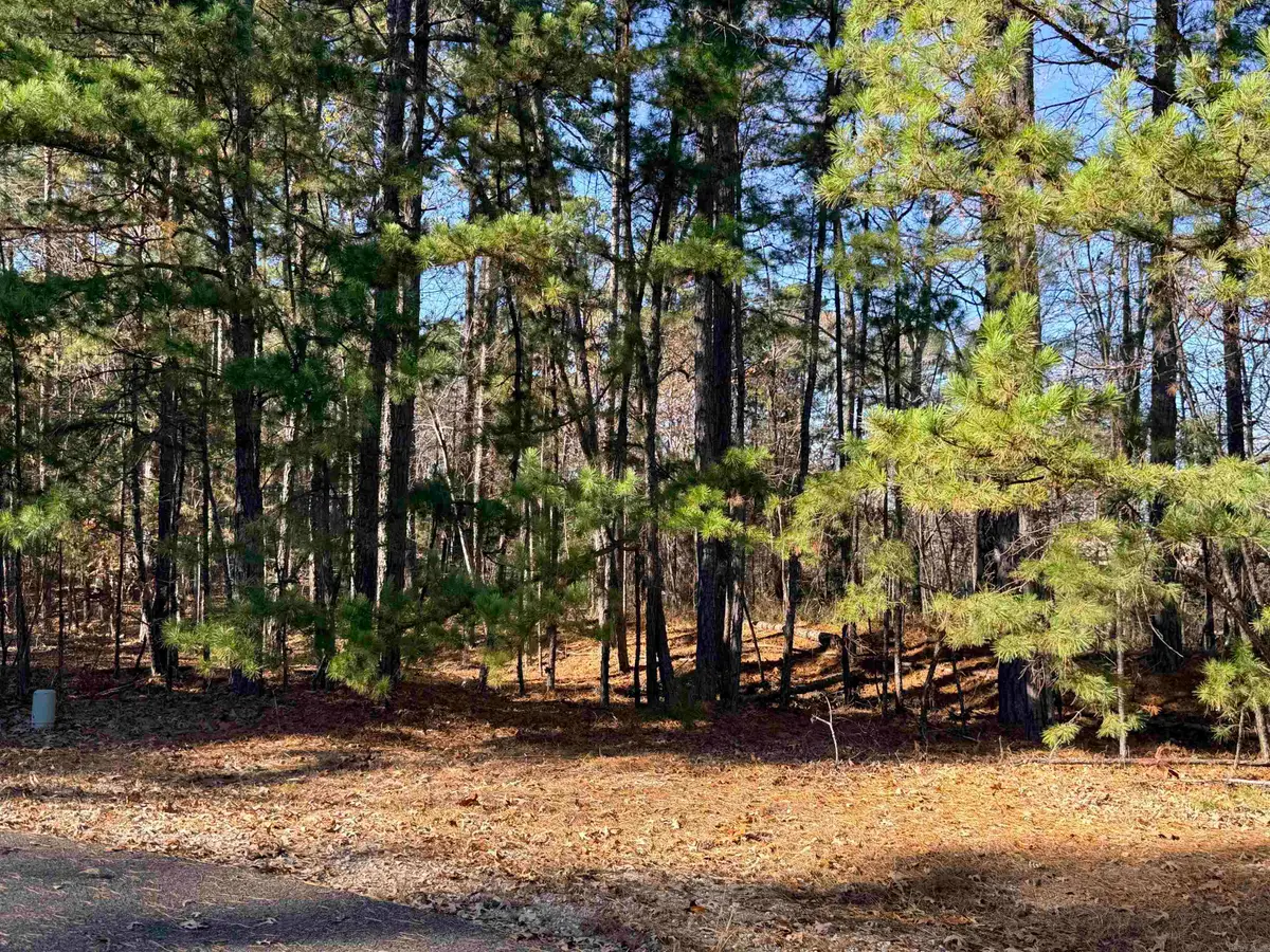 00 Divino Place, Hot Springs Village, AR 71909 - Image #1