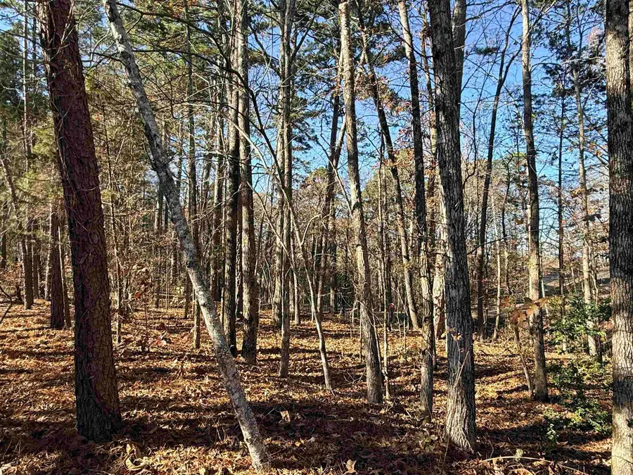 00 Divino Place, Hot Springs Village, AR 71909 - Image #2