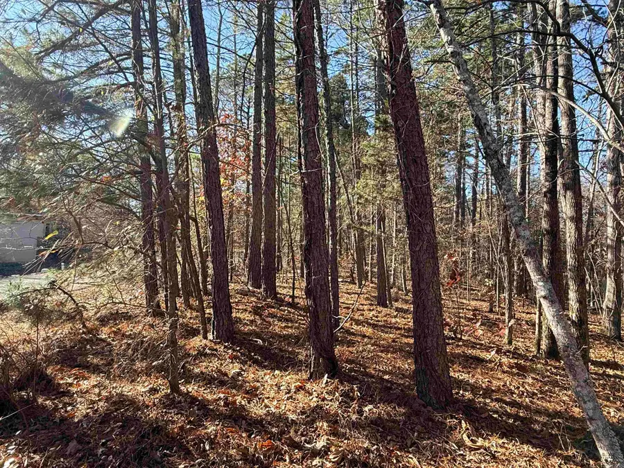 00 Divino Place, Hot Springs Village, AR 71909 - Image #3