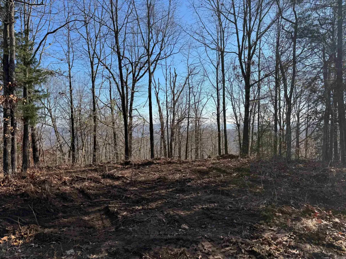 TBD Cr 5261, Oark, AR 72852 - Image #1