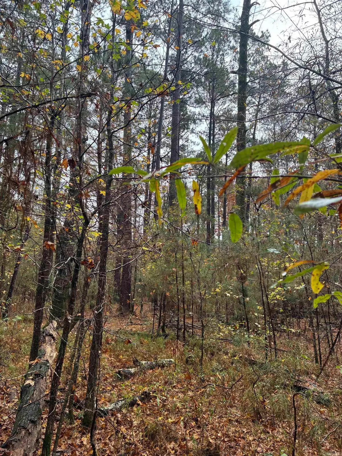 26 acres Joan St., Camden, AR 71701 - Image #1