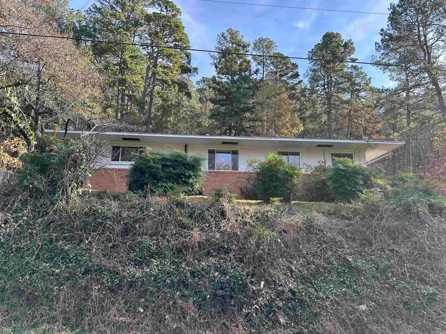 310 Ramble St Street, Hot Springs, AR 71901 - #2