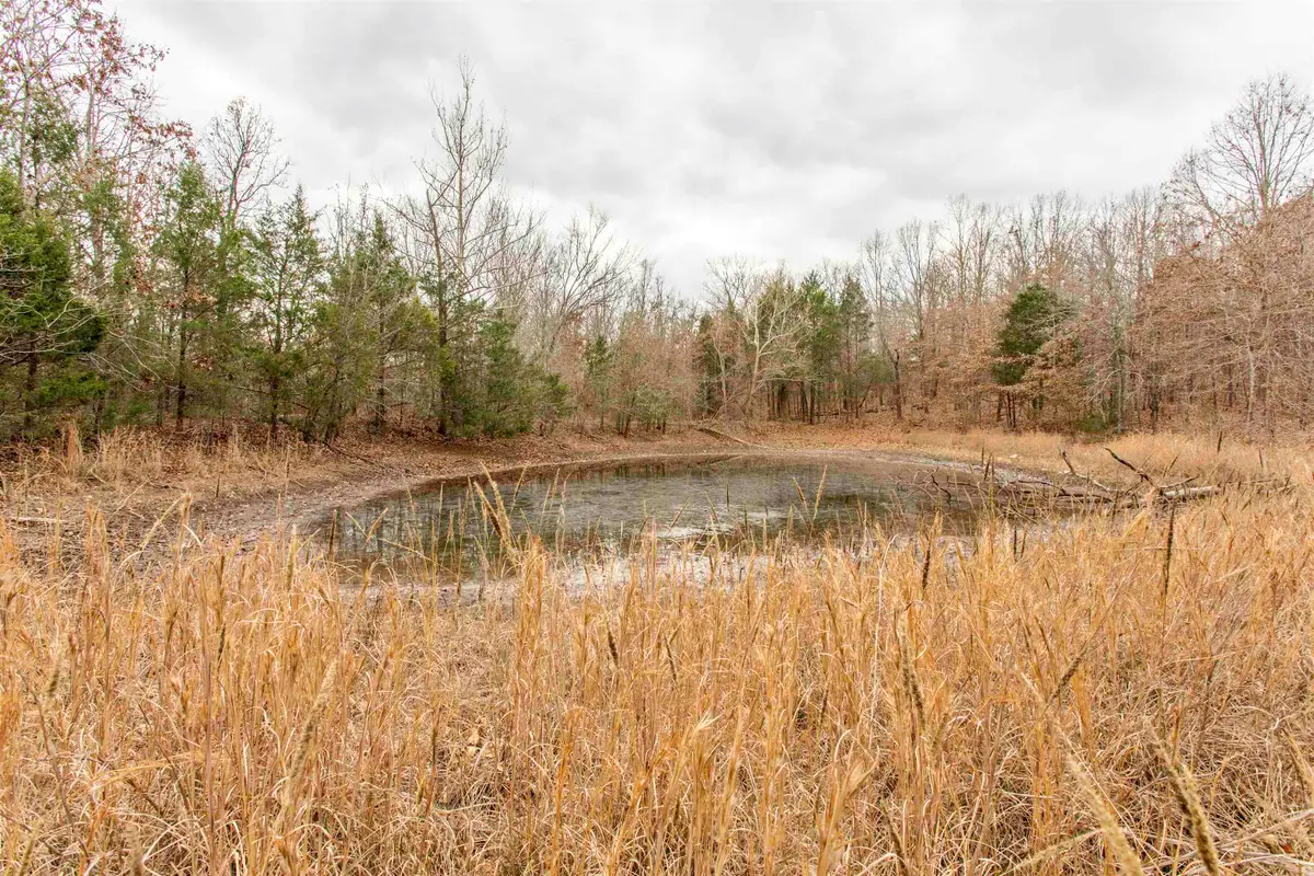 000 Valley Chapel Road, Ravenden Springs, AR 72460 - Image #1