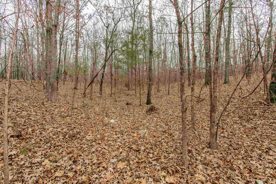 000 Valley Chapel Road, Ravenden Springs, AR 72460 - Image #3