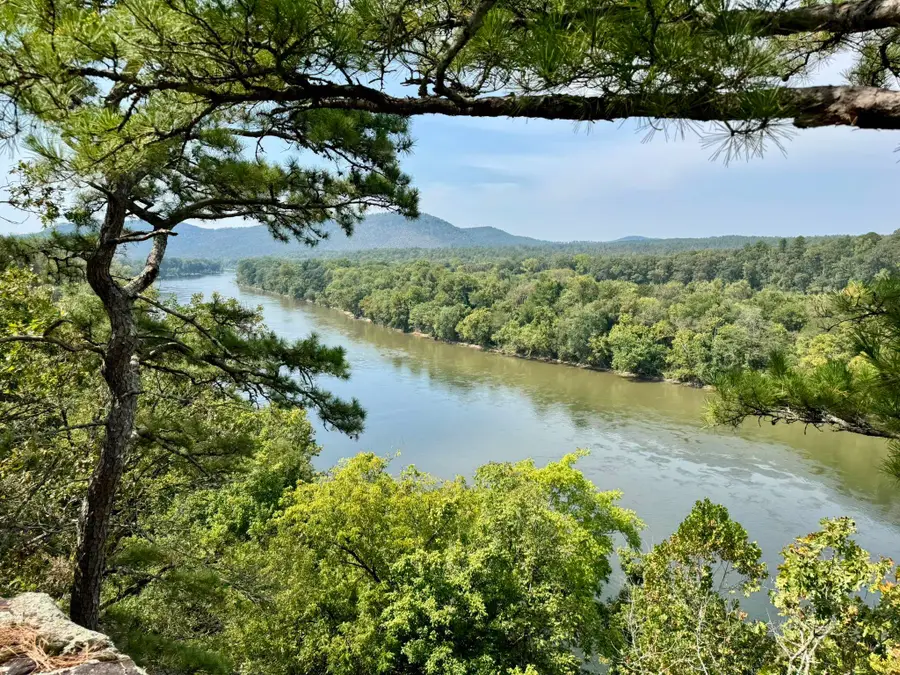 70 Mount Olive Road, Melbourne, AR 72556 - Image #2